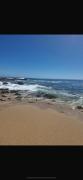 Top Algarrobo