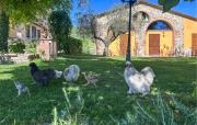 Top Magione