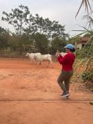 Top Siem Reap Top Siem Reap