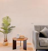 The Island Palms Homestay