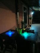 Top Camerino