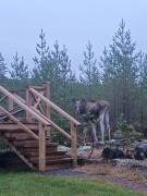 Top Sörsjön
