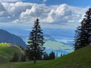 Top Beckenried
