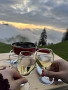 Top Beckenried