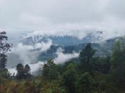 Top Darjeeling