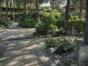 Top Pinus Village