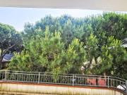 Top Rosolina Mare