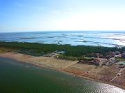 Top Rosolina Mare