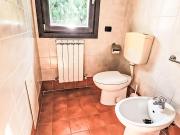 Top Rosolina Mare