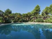 Top Pinus Village