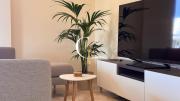 Top Palm-mar