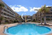Top Palm-mar
