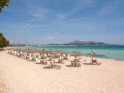 Top Alcudia