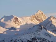 Top Montana