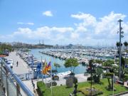 Top Alcudia