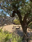 Top Pantelleria