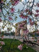 Top Bucharest