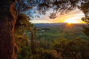 Top Agios Leon