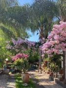 Top Giardini Naxos