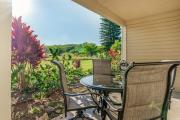 Top Waikoloa Village