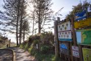 Top Cannon Beach