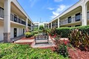 Top Southern Pines