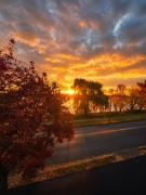 Top Fredericton