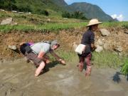 Top Bac Ha