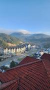 Top Cameron Highlands