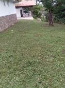 Top San Carlos