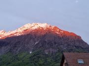 Top Saint Firmin