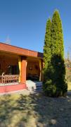 Top Tleń
