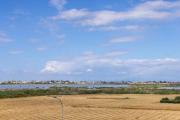 Top Paralimni