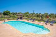 Top Alcudia