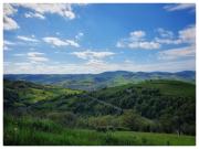 Top Vaugneray