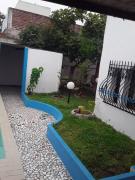 Top Souani