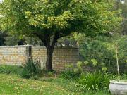 Top Ficksburg Top Ficksburg