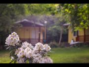 2 persons Bungalow in lovely and familial area