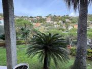 The Green Valley - Apartments in Villa with Garden