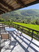 Top Milanovac