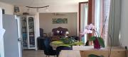 Cosy Appartement T3 Avignon Cosy Appartement T3 Avignon