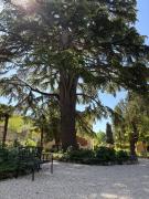Top Perugia