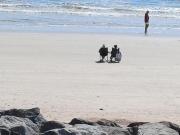 L appartement le vélo la plage
