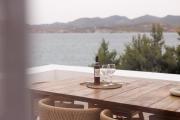 Top Pollonia