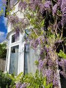 Top Mill Hill