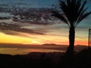 Top Torrox