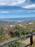 Top Torrox