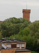 Top Świecie