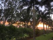 Top Princeville