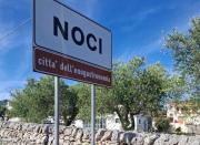 Top Noci